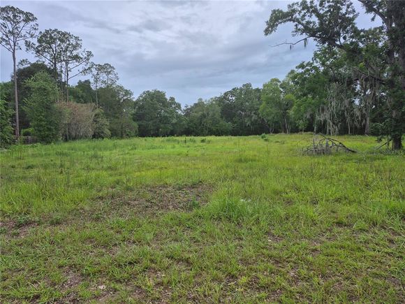 1224 NW 143rd Street NEWBERRY, FL Plot of land Active - Photo 1 of 1. Opens carousel modal