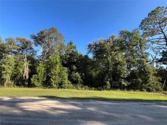81st Street NE BRONSON, FL Plot of land Active - Photo 1 of 3. Opens carousel modal