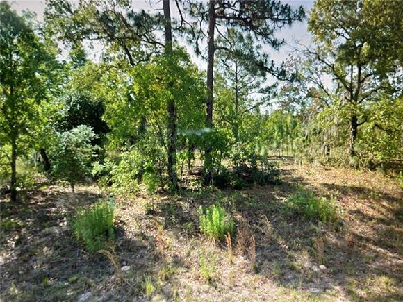 9195 N Athens Drive CITRUS SPRINGS, FL Land Sold - Photo 1 of 1. Opens carousel modal