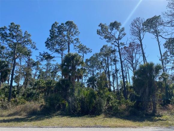 17467 And 17475 Hillsborough Boulevard PORT CHARLOTTE, FL Plot of land Active - Photo 1 of 11. Opens carousel modal
