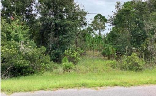 0 Starry Street ORLANDO, FL Plot of land Active - Photo 1 of 5. Opens carousel modal