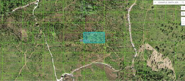 Tiger Lake Rd LAKE WALES, FL Plot of land Active - Photo 1 of 2. Opens carousel modal