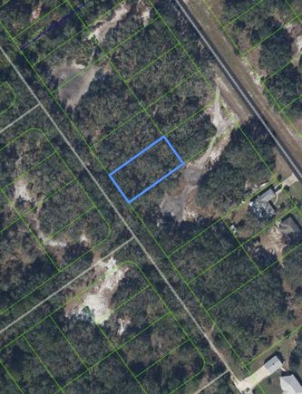 511 Pershing Avenue LAKE PLACID, FL Plot of land Sold - Photo 1 of 1. Opens carousel modal