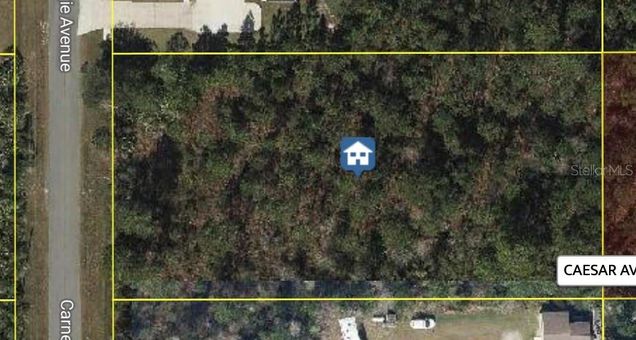 Carnegie Avenue ORLANDO, FL Plot of land Active - Photo 1 of 1. Opens carousel modal