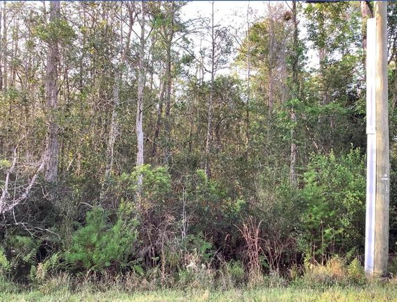 20828 Quinlan Street ORLANDO, FL Plot of land Active - Photo 1 of 1. Opens carousel modal