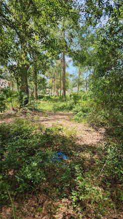 7624 Anno Street TAMPA, FL Plot of land Active - Photo 1 of 3. Opens carousel modal