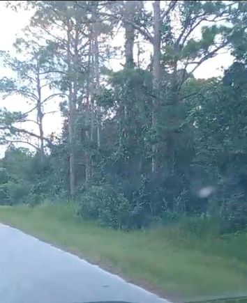 1515 Queen Avenue SEBRING, FL Plot of land Active - Photo 1 of 3. Opens carousel modal
