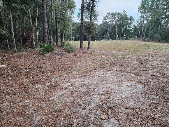12864 SW 41st Place OCALA, FL Plot of land Active - Photo 1 of 22. Opens carousel modal