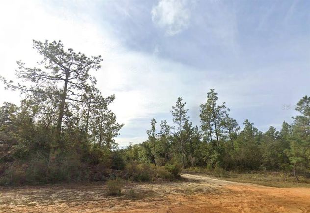 Kings Drive CHIPLEY, FL Plot of land Active - Photo 1 of 2. Opens carousel modal