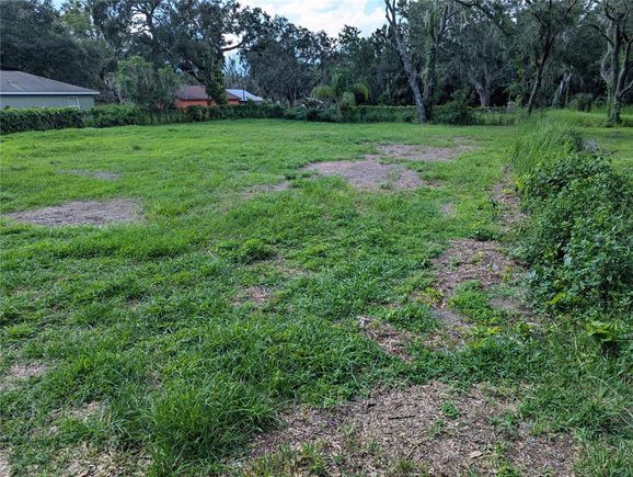 170 Kirkland Park Street MULBERRY, FL Plot of land Active - Photo 1 of 2. Opens carousel modal