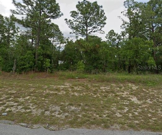 Sw 154 Lane Rd OCALA, FL Plot of land Active - Photo 1 of 1. Opens carousel modal