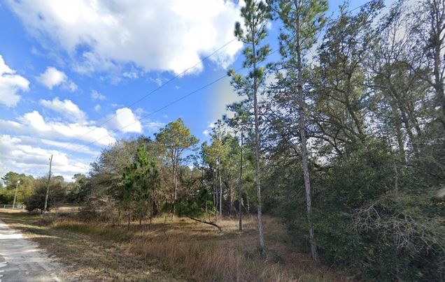 33472 West Boulevard WEBSTER, FL Plot of land Active - Photo 1 of 13. Opens carousel modal