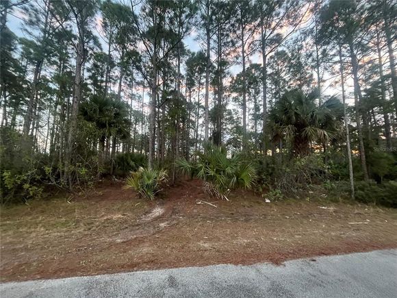 2633 Quincy Avenue SE PALM BAY, FL Plot of land Sold - Photo 1 of 1. Opens carousel modal