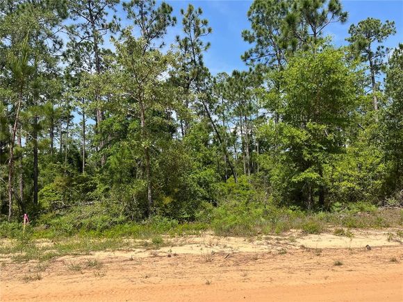Holly Springs Avenue ALFORD, FL Plot of land Active - Photo 1 of 13. Opens carousel modal