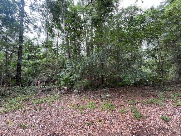 223 Ward Avenue CRESCENT CITY, FL Plot of land Active - Photo 1 of 5. Opens carousel modal