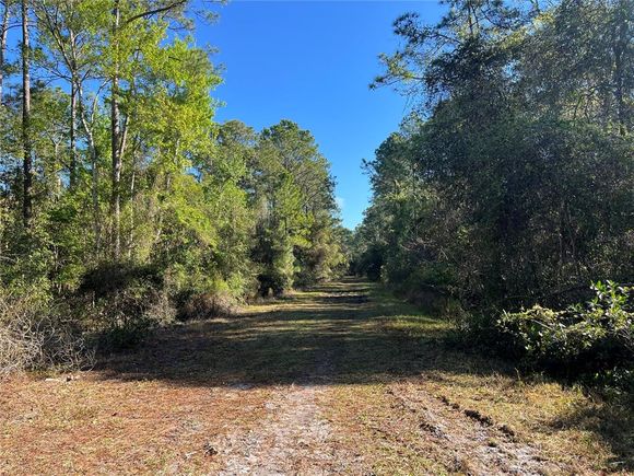 208 SE 3rd Street GEORGETOWN, FL Plot of land Active - Photo 1 of 5. Opens carousel modal