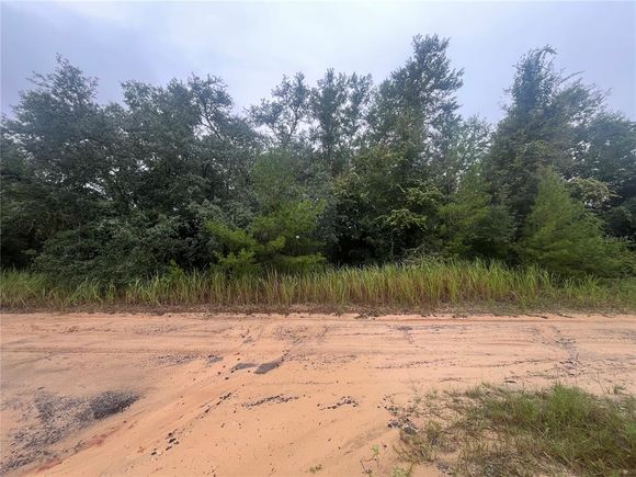 331 S Carolina Street HAWTHORNE, FL Plot of land Active - Photo 1 of 6. Opens carousel modal