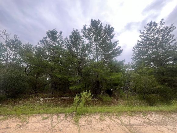 206 Wales Street INTERLACHEN, FL Plot of land Active - Photo 1 of 6. Opens carousel modal