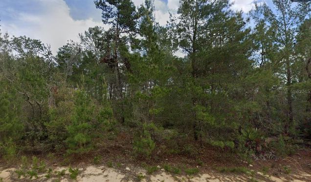 214 Neilsen Ave INTERLACHEN, FL Plot of land Active - Photo 1 of 3. Opens carousel modal