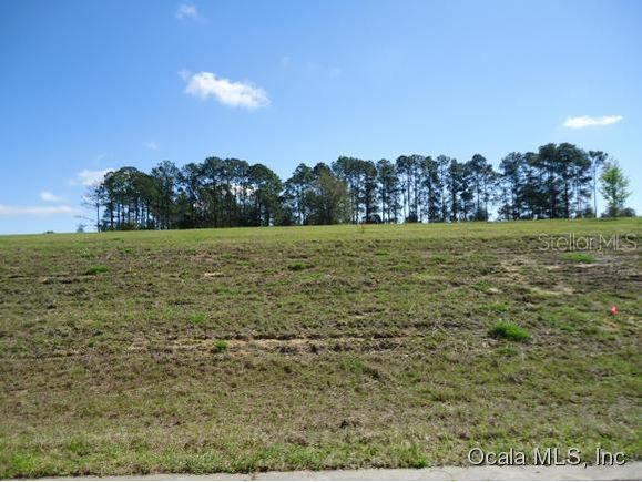 41516 Saddle Ridge Null Lane LADY LAKE, FL Plot of land Sold - Photo 1 of 1. Opens carousel modal