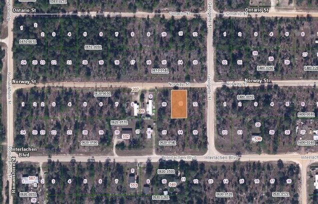 203 Norway Street INTERLACHEN, FL Plot of land Active - Photo 1 of 3. Opens carousel modal