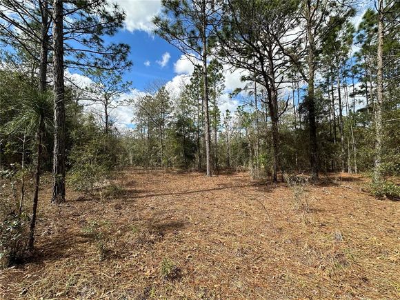21491 SE 73rd Place MORRISTON, FL Plot of land Sold - Photo 1 of 1. Opens carousel modal