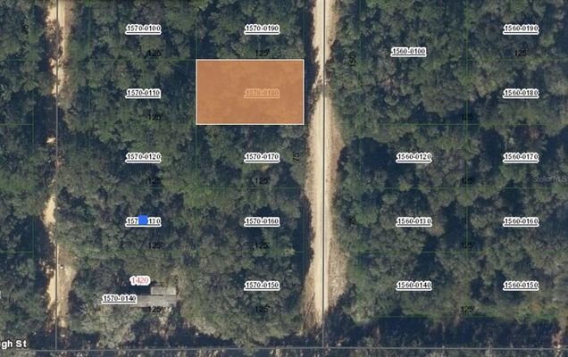 00 Donys Avenue INTERLACHEN, FL Plot of land Active - Photo 1 of 2. Opens carousel modal