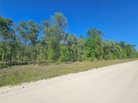 13371 NE 9th Street WILLISTON, FL Plot of land Sold - Photo 1 of 1. Opens carousel modal