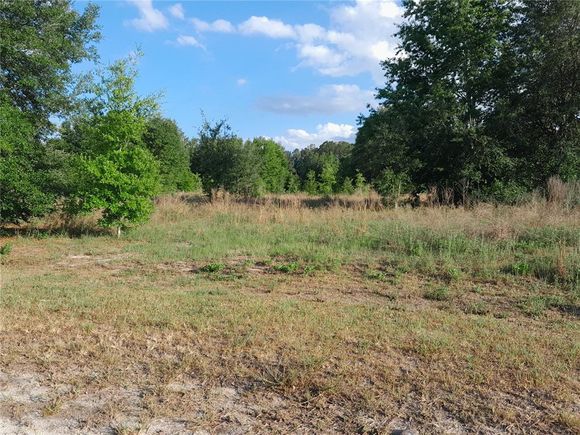 21930 SE 60th Lane MORRISTON, FL Plot of land Sold - Photo 1 of 1. Opens carousel modal