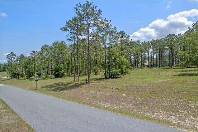 35408 Pinegate Trail EUSTIS, FL Plot of land Sold - Photo 1 of 1. Opens carousel modal