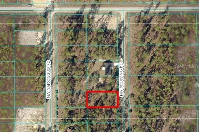 Tbd NW Redwing Road DUNNELLON, FL Plot of land Active - Photo 1 of 1. Opens carousel modal