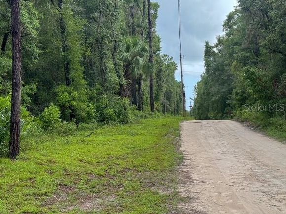 Tbd NW 97 Court CHIEFLAND, FL Plot of land Active - Photo 1 of 7. Opens carousel modal