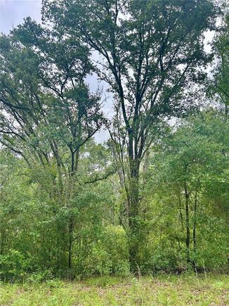 714 Longwood Avenue INVERNESS, FL Plot of land Active - Photo 1 of 14. Opens carousel modal