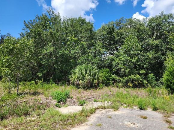 Guava Track Pass OCKLAWAHA, FL Plot of land Active - Photo 1 of 2. Opens carousel modal