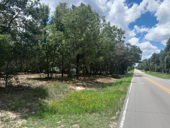 Tbd NE 105th Avenue BRONSON, FL Plot of land Active - Photo 1 of 5. Opens carousel modal