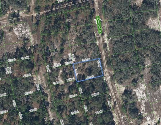 218 Island Mist Drive LAKE PLACID, FL Plot of land Active - Photo 1 of 2. Opens carousel modal