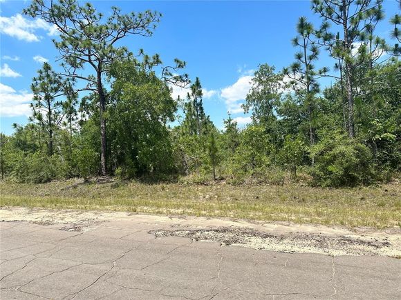 Cavalier Drive CHIPLEY, FL Plot of land Active - Photo 1 of 5. Opens carousel modal