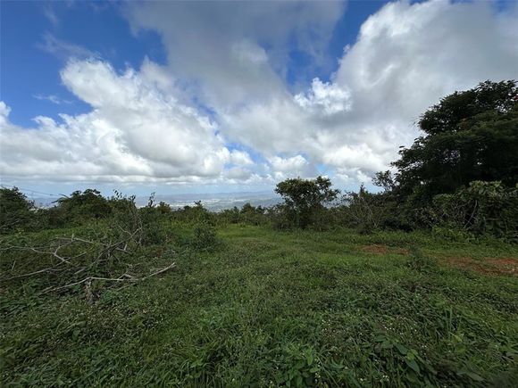 Bo Beatriz Fincas Mi Recreo 3, Carr 1 CAGUAS, PR Plot of land Sold - Photo 1 of 1. Opens carousel modal