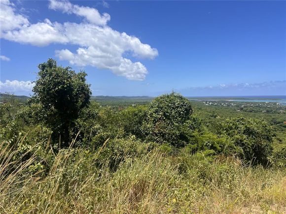 La Hueca Vistas Lot 3 VIEQUES, PR Plot of land Active - Photo 1 of 10. Opens carousel modal