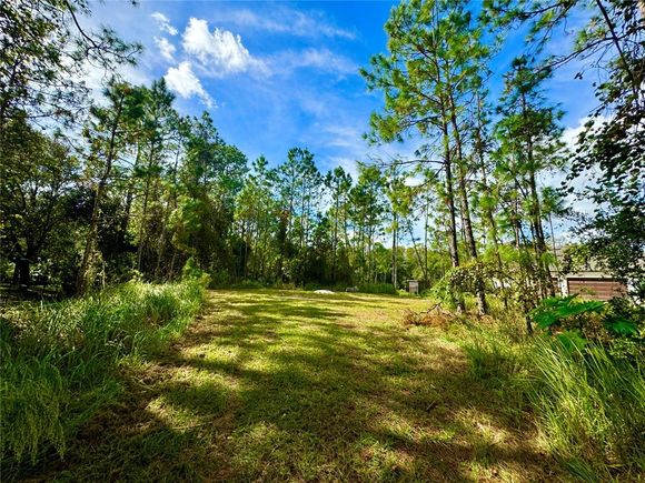 11518 Rambling Oak Boulevard ORLANDO, FL Plot of land Sold - Photo 1 of 1. Opens carousel modal