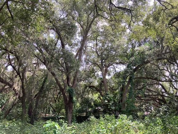 Claypit Road SEFFNER, FL Plot of land Sold - Photo 1 of 1. Opens carousel modal