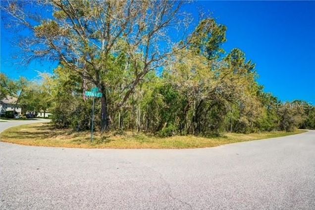 10 Bonnie Drive HOMOSASSA, FL Plot of land Sold - Photo 1 of 1. Opens carousel modal