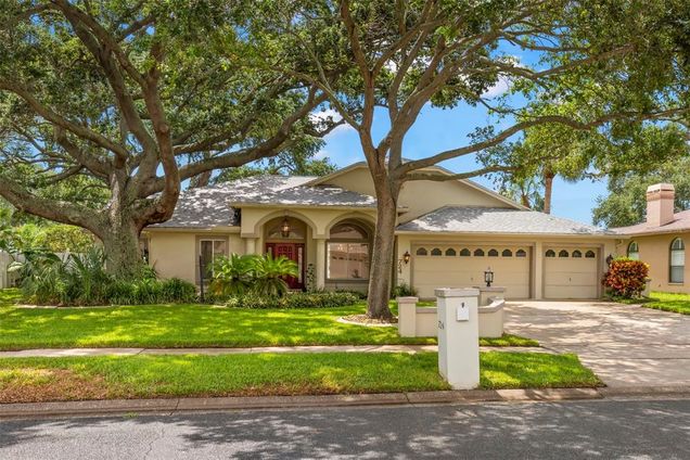 724 Litchfield Lane DUNEDIN, FL House Sold - Photo 1 of 1. Opens carousel modal