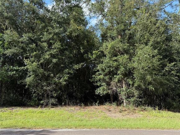 3919 E Orchid Street HERNANDO, FL Land Sold - Photo 1 of 1. Opens carousel modal