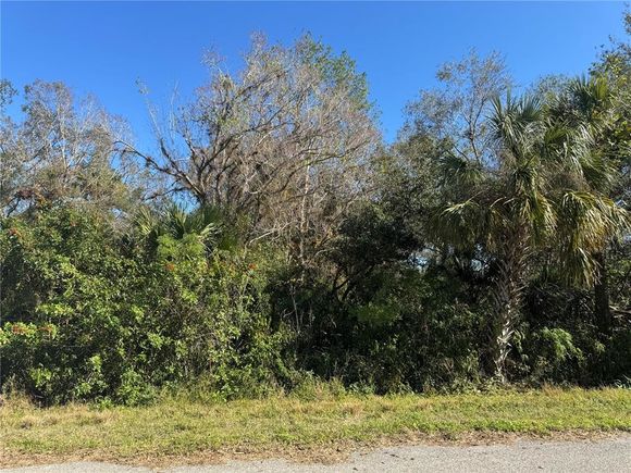 194 Ray Street PORT CHARLOTTE, FL Plot of land Active - Photo 1 of 8. Opens carousel modal