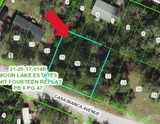 12905 Casa Bianca Avenue NEW PORT RICHEY, FL Plot of land Active - Photo 1 of 2. Opens carousel modal