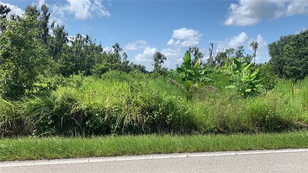 0 Sink Hole Road BARTOW, FL Plot of land Active - Photo 1 of 28. Opens carousel modal