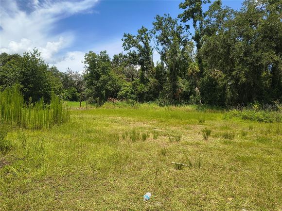 Willie White Lane PLANT CITY, FL Plot of land Active - Photo 1 of 15. Opens carousel modal