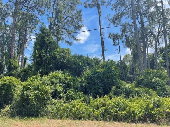 Senate Avenue NORTH PORT, FL Plot of land Active - Photo 1 of 3. Opens carousel modal