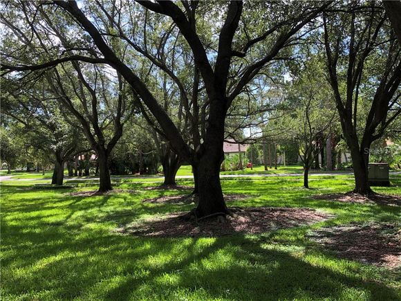 492 Santa Cruz Place NE Unit A ST PETERSBURG, FL Condo Sold - Photo 1 of 1. Opens carousel modal